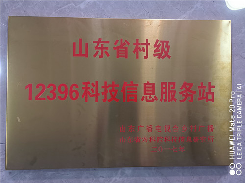 展示图片
