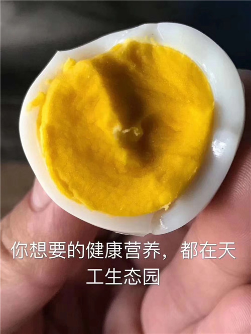 展示图片